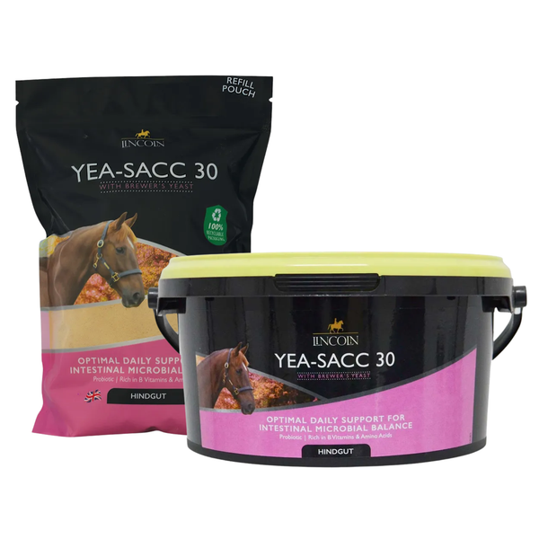 Lincoln Yea-Sacc 30