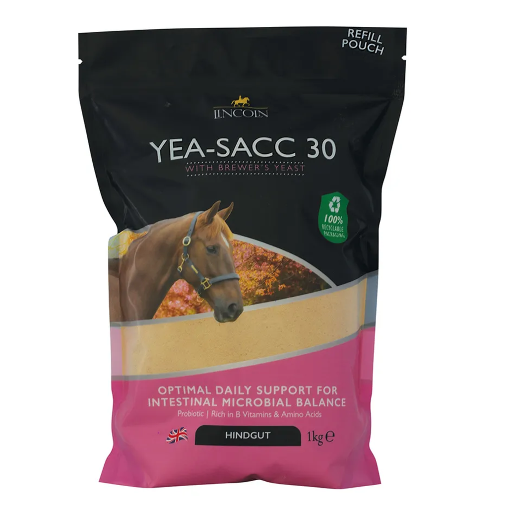 Lincoln Yea-Sacc 30