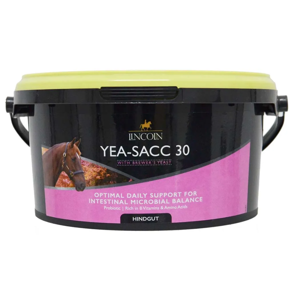 Lincoln Yea-Sacc 30