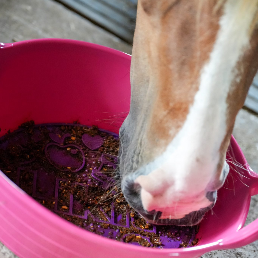 Likit Graze Maze - Purple