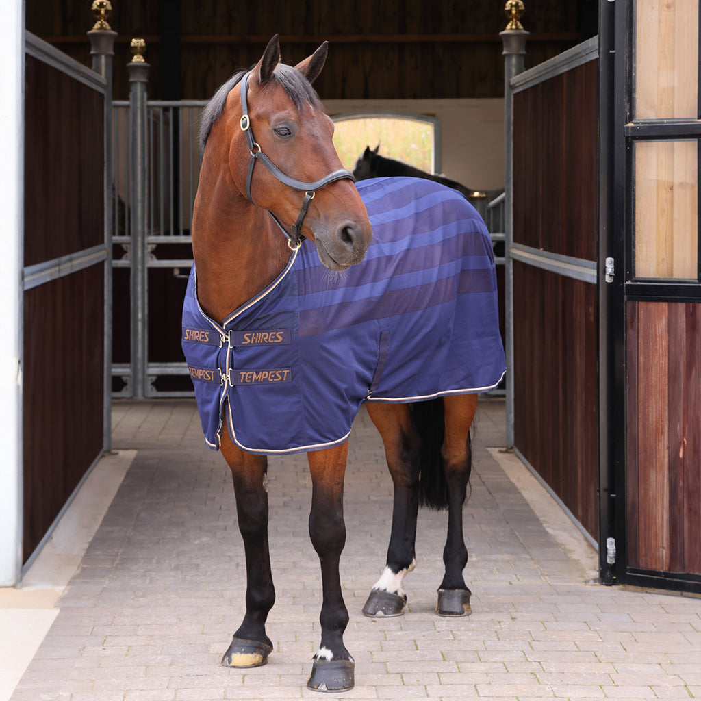 Tempest Original Scrim Cooler Rug - Ink