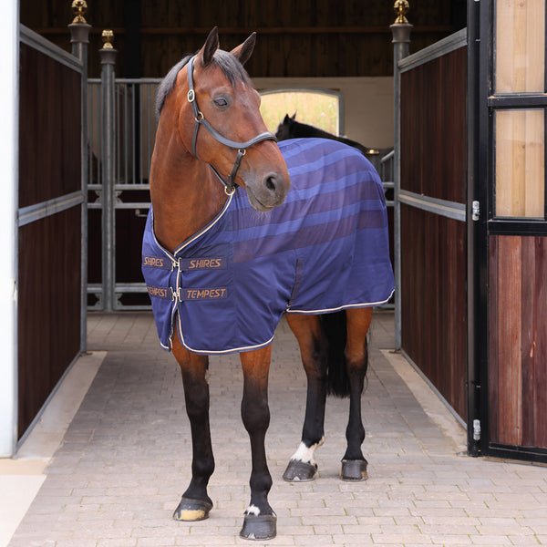 Tempest Original Scrim Cooler Rug - Ink