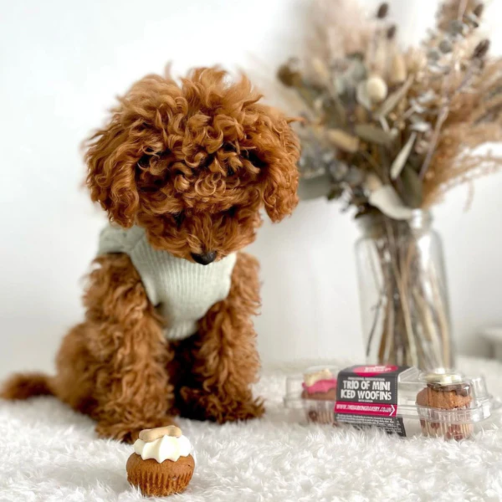 Barking Bakery Mini Trios Iced