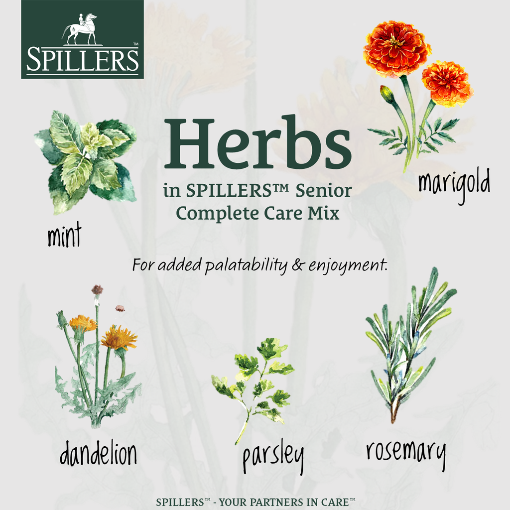 Spillers Senior Complete Care Mix - 20kg