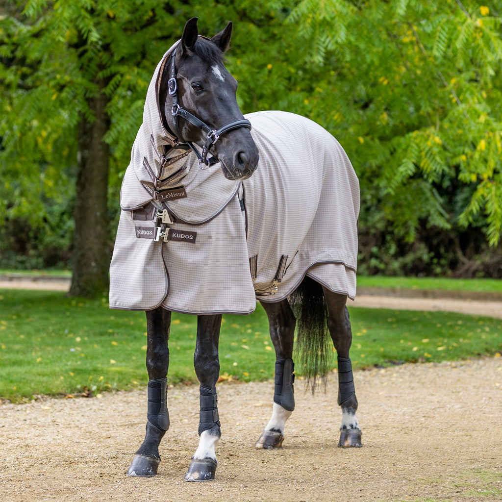 LeMieux Kudos Field Rug - Stone
