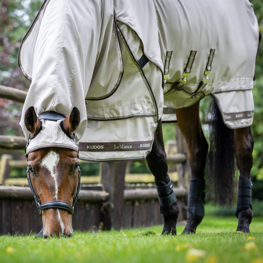 LeMieux Kudos Sweet Itch Fly Rug - Stone