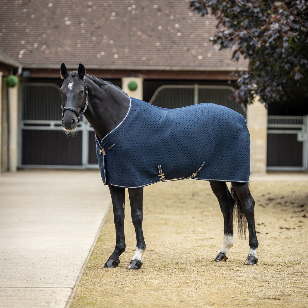 LeMieux Kudos 3D Travel Rug - Navy