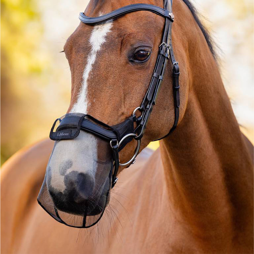 LeMieux Comfort Drop Nose Shield - Black