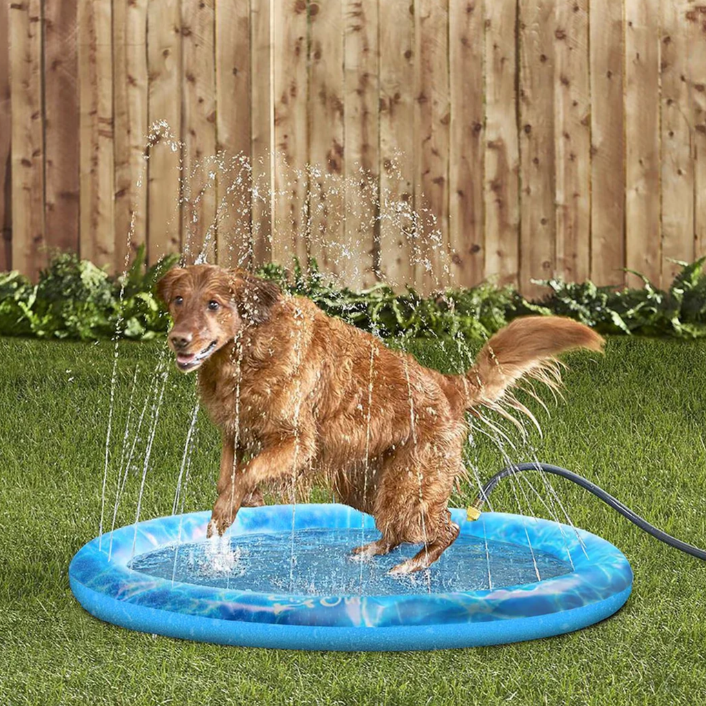All For Paws Chill Out Sprinkler Fun Mat