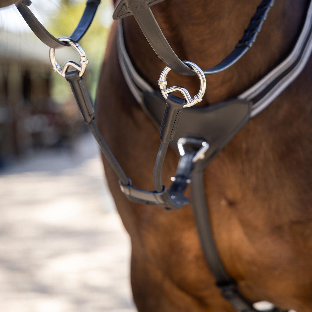 LeMieux Elasticated Martingale Attachment - Black/Silver
