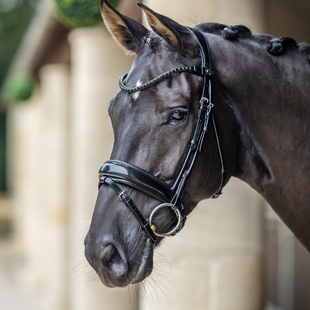 LeMieux Kudos Patent Dressage Bridle - Black