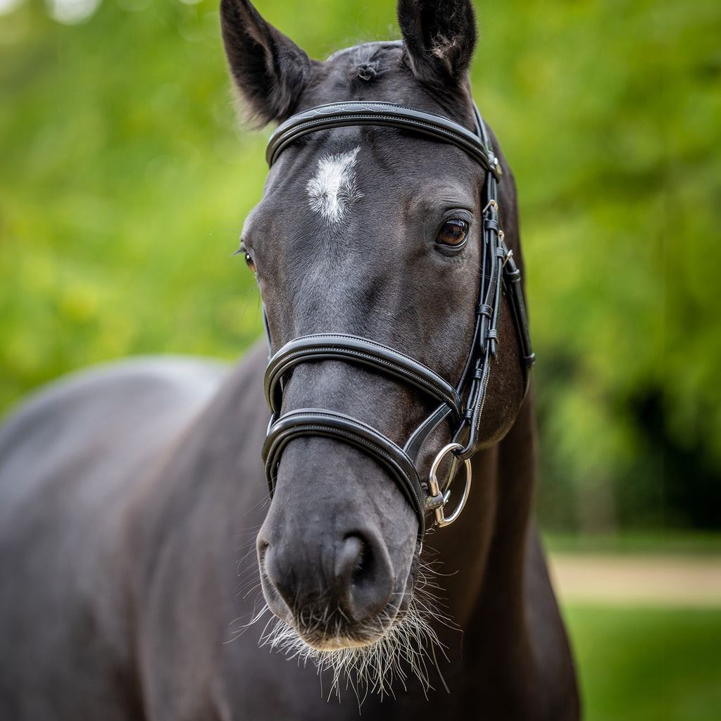 LeMieux Kudos Double Noseband Bridle - Black/Silver
