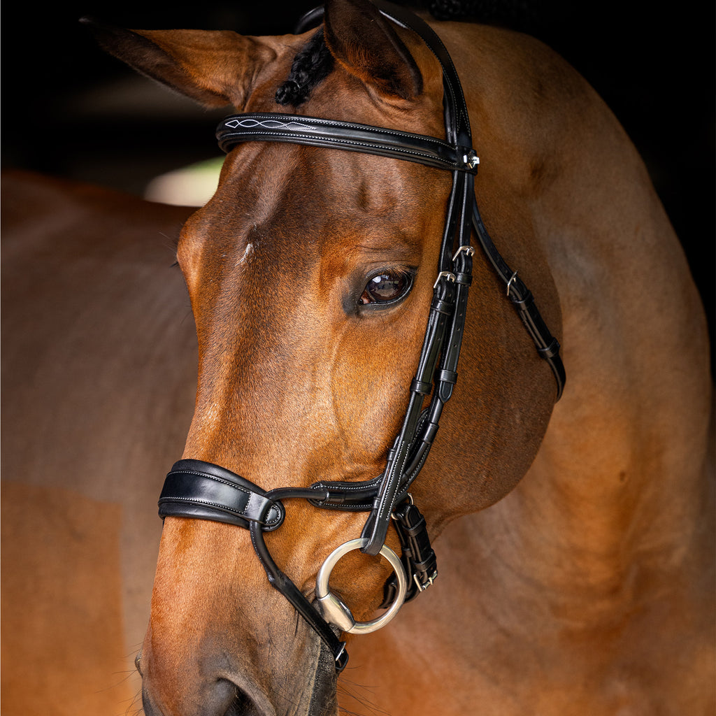 LeMieux Kudos Clear Arc Bridle - Black/Silver