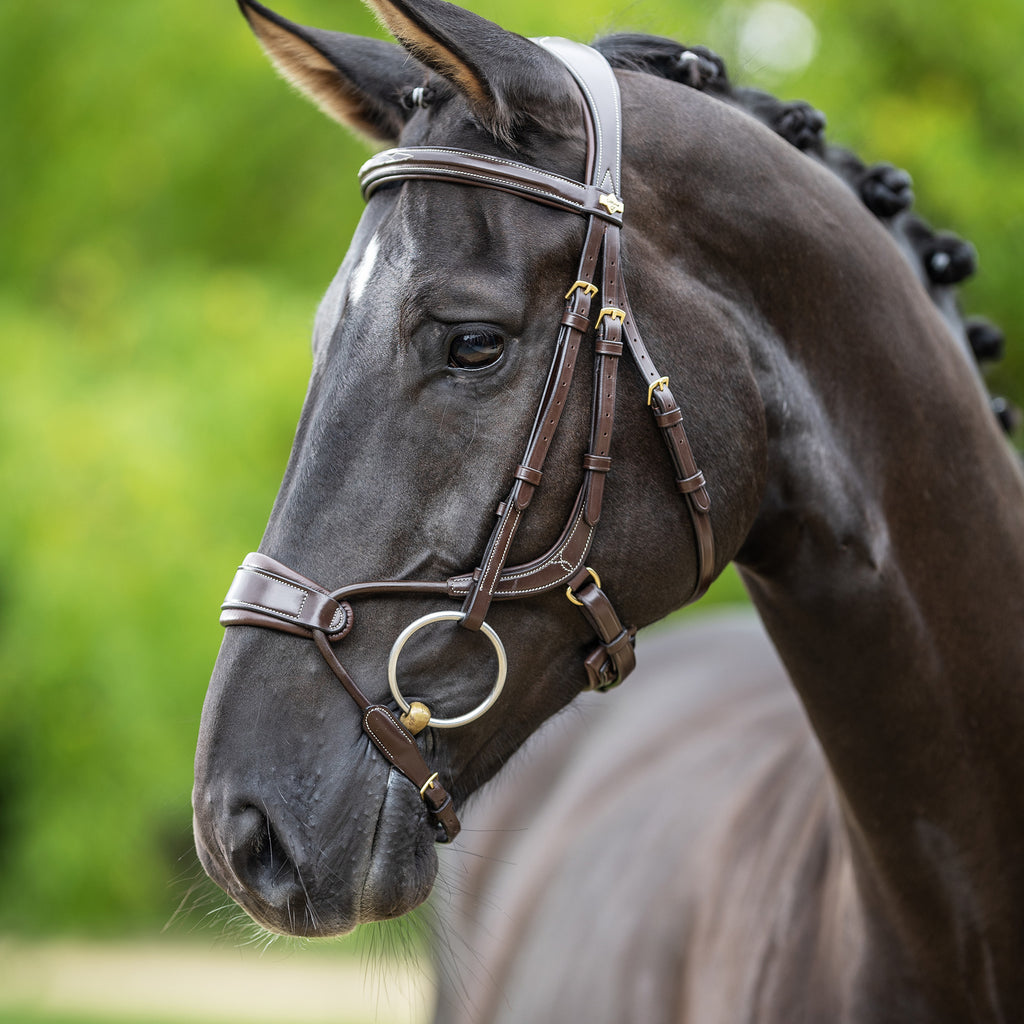 LeMieux Kudos Clear Arc Bridle - Havana/Brass