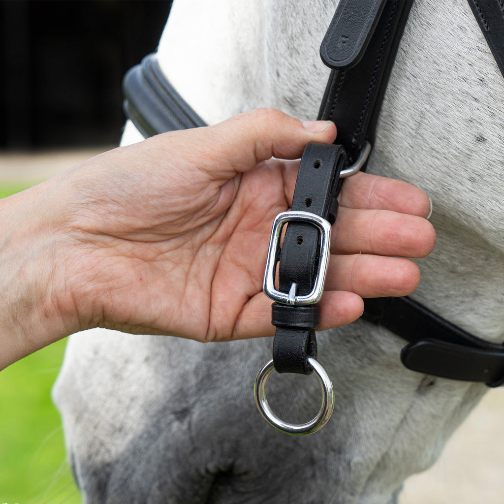 F.R.A Runa Combi Bridle - Black