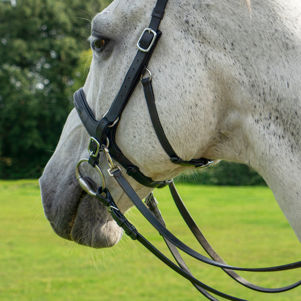F.R.A Runa Combi Bridle - Black