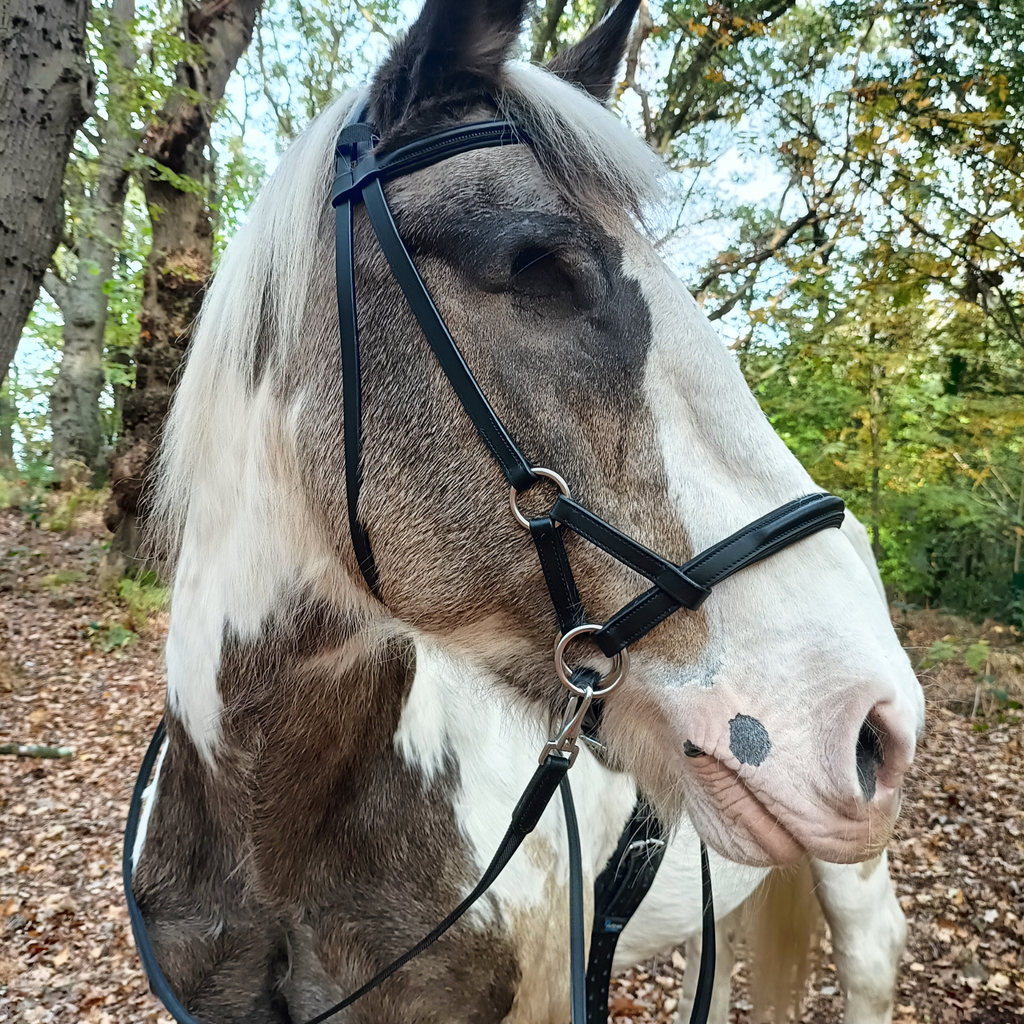 F.R.A Pardoes Sidepull Bridle - Black