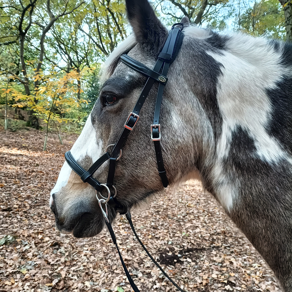 F.R.A Pardoes Sidepull Bridle - Black
