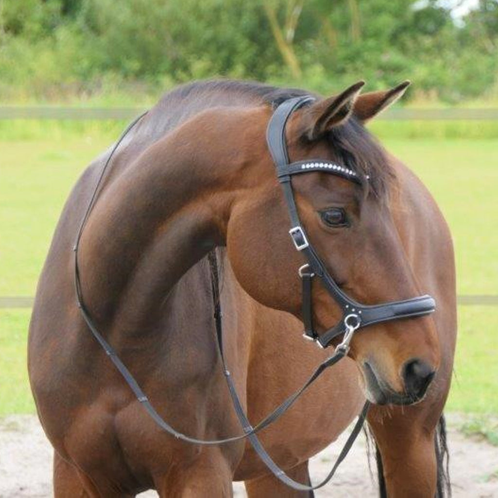 F.R.A Rebecca Sidepull Bridle - Black