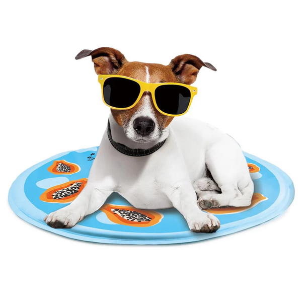All For Paws Chill Out Papaya Cooling Mat