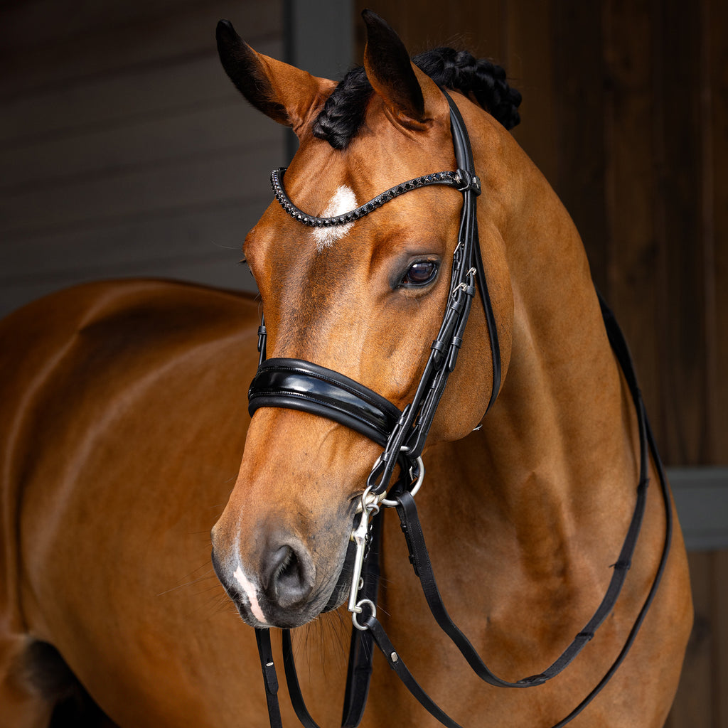 LeMieux Kudos Double Bridle - Black