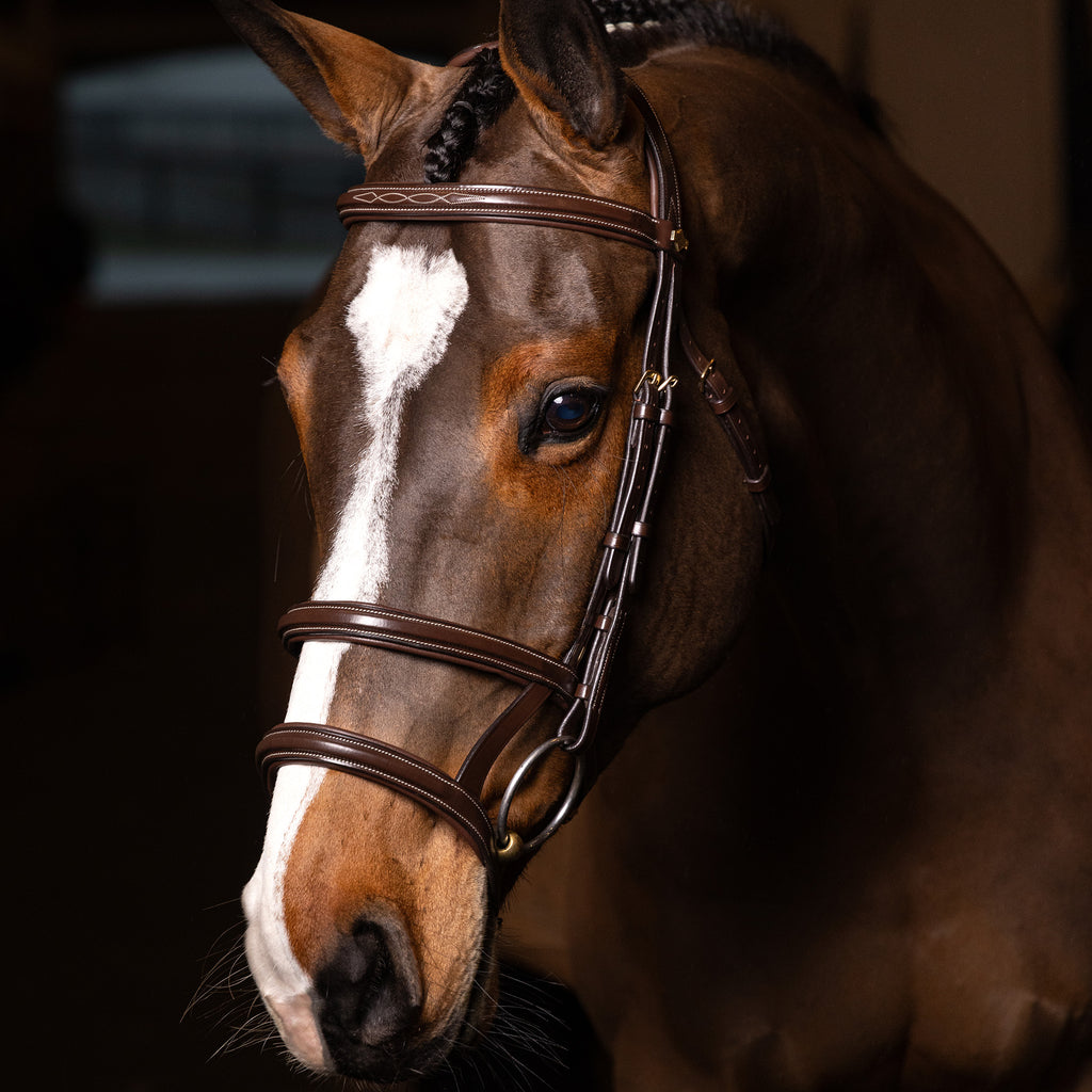 LeMieux Kudos Double Noseband Bridle - Havana/Brass