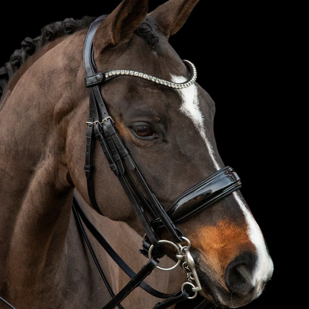 Schockemohle Milazzo Bridle - Black/Patent/Grey