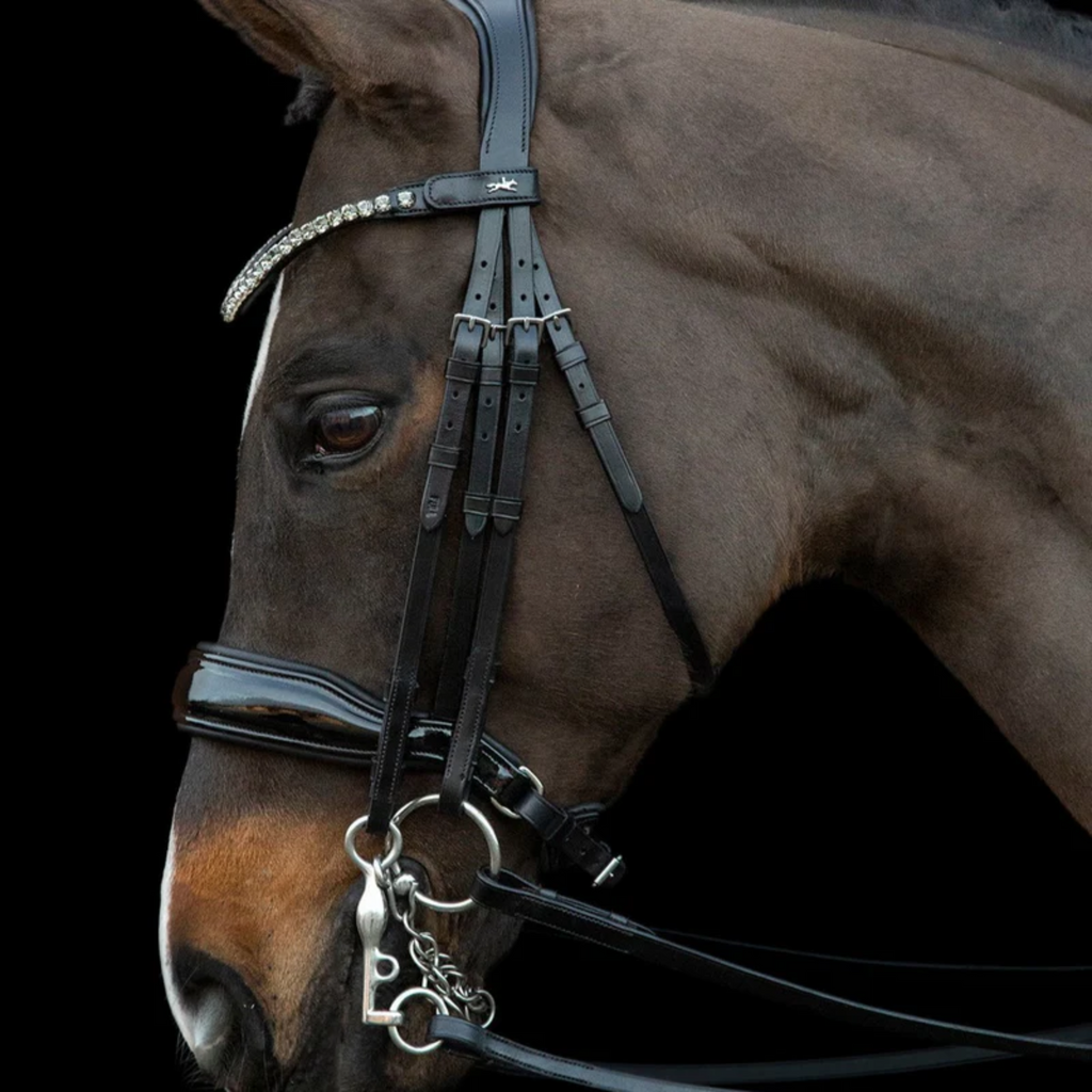 Schockemohle Milazzo Bridle - Black/Patent/Grey