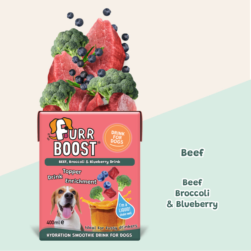 Furr Boost Beef Broccoli and Blueberry Dog Drink - 400ml