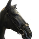 Cameo Hunt Bridle - Black