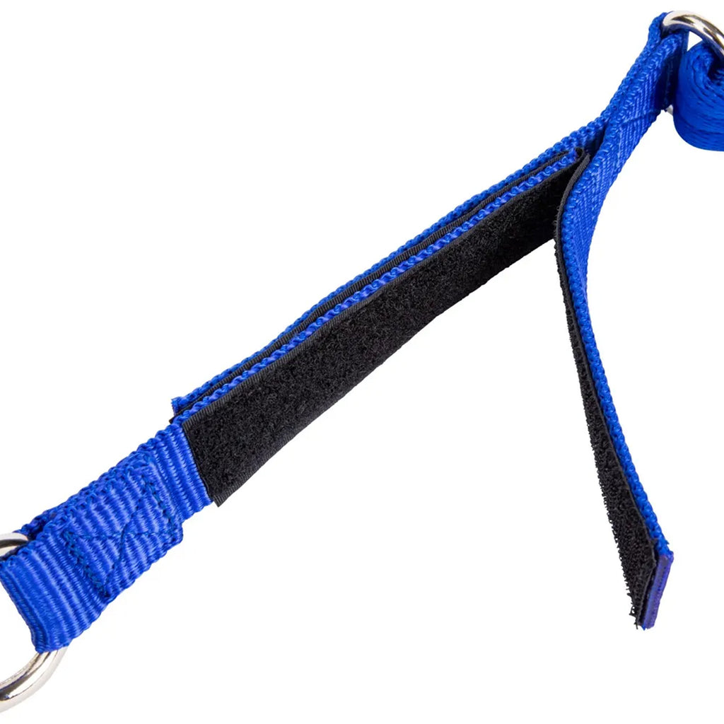 Breakaway Trailer Tie - Blue