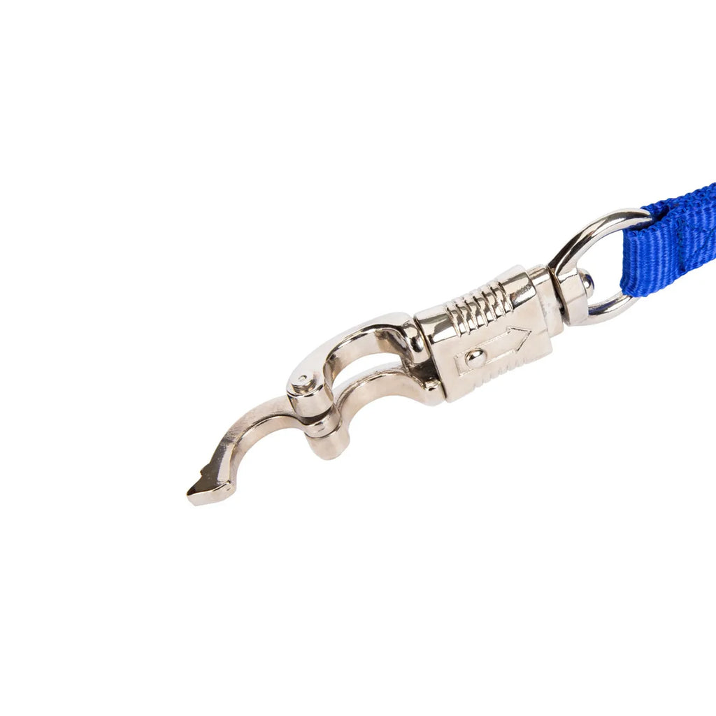 Breakaway Trailer Tie - Blue