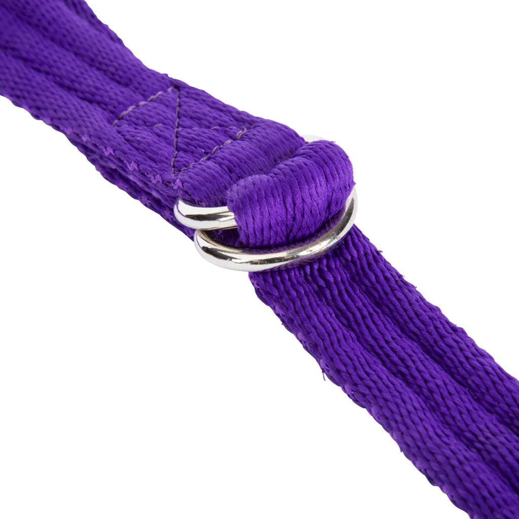 Breakaway Trailer Tie - Purple