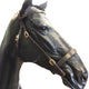 Cameo In Hand Bridle With Lead - Black