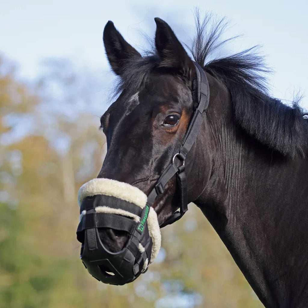 FreeGraze AirFlow Grazing Muzzle Padded - Black