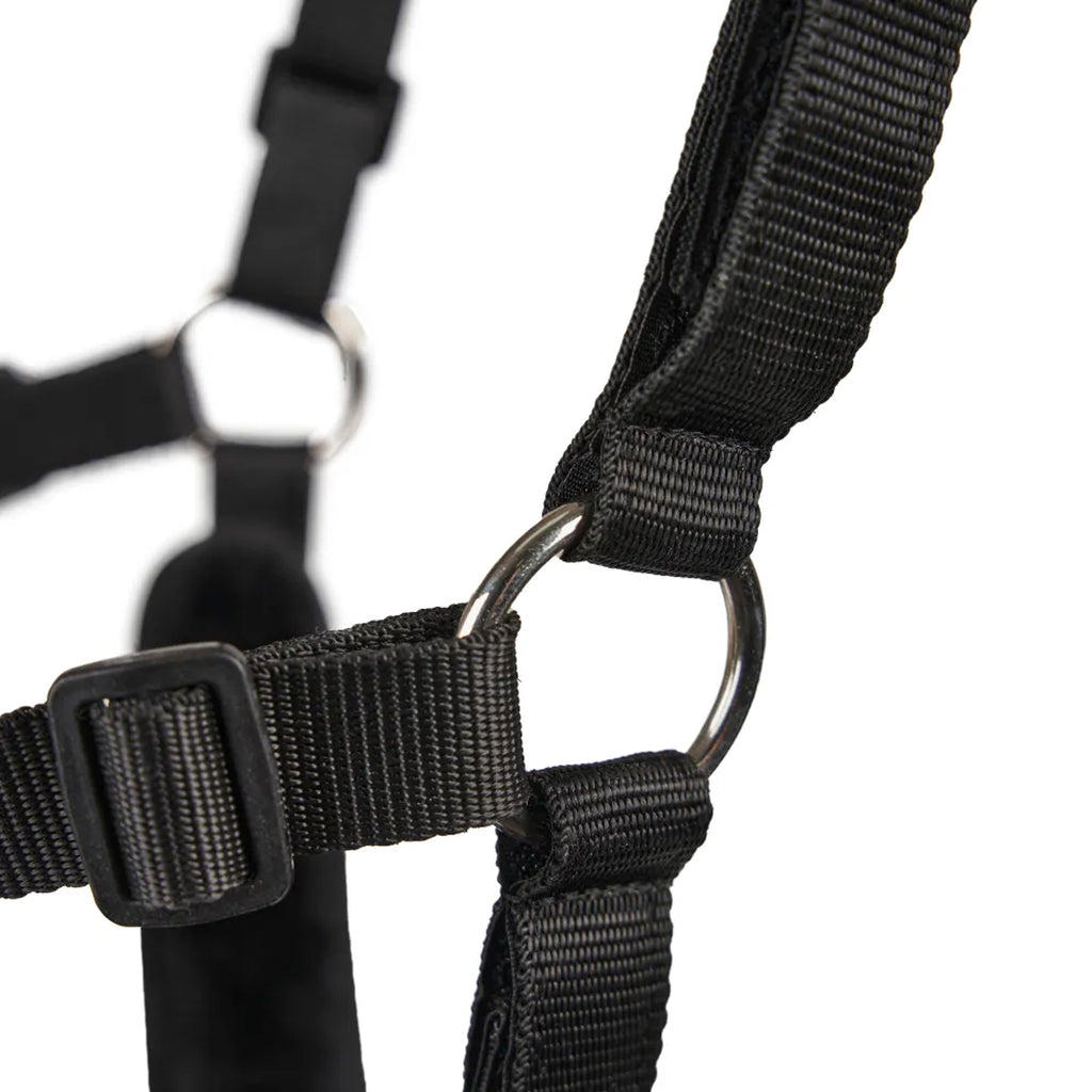 FreeGraze AirFlow Grazing Muzzle Padded - Black