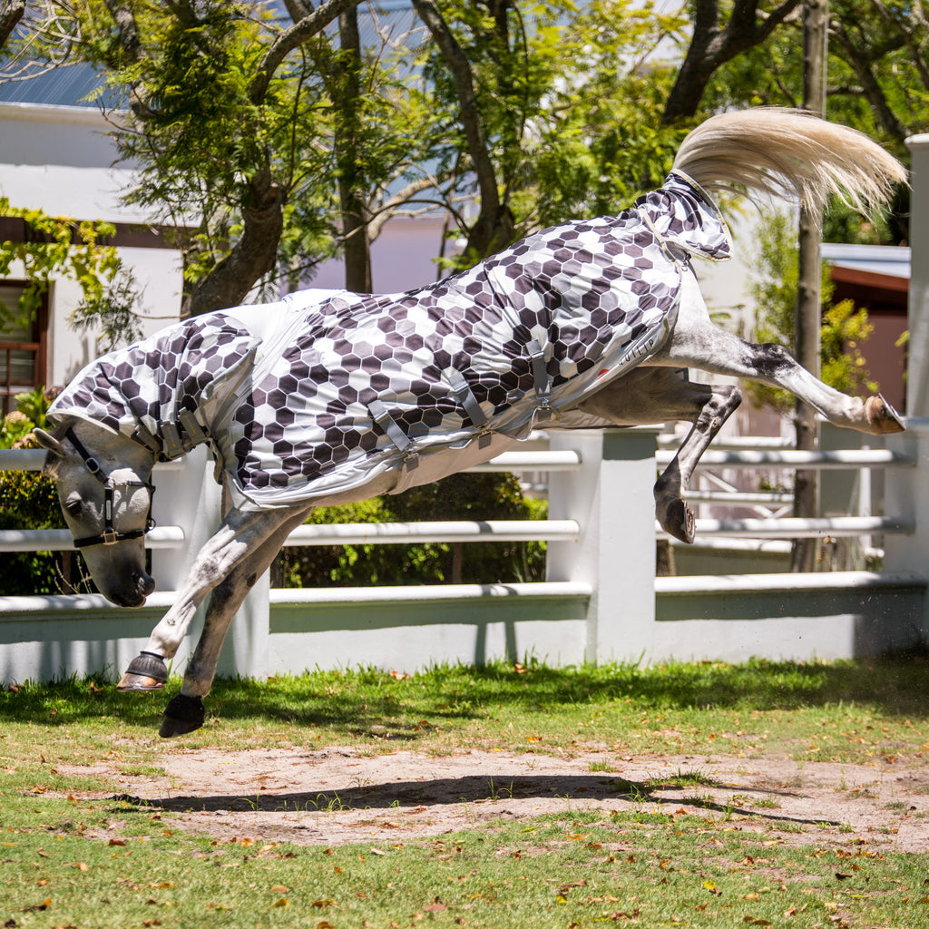 Equilibrium Field Relief Fly Rug
