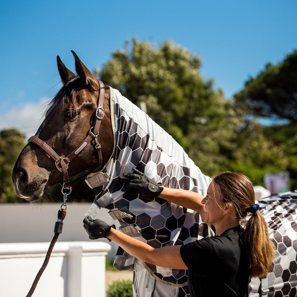Equilibrium Field Relief Fly Rug