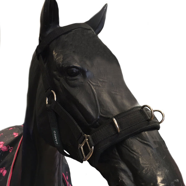 Cameo Lunging Cavesson - Black