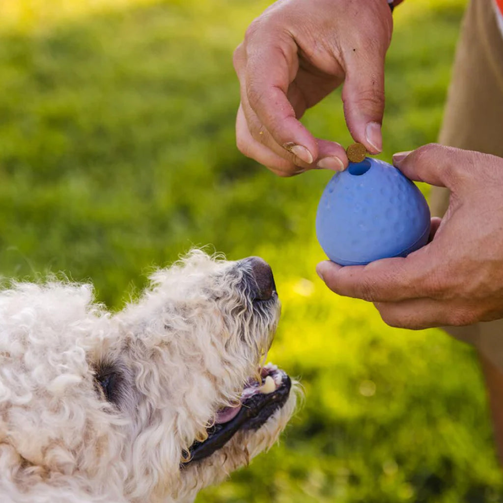 Ruffwear Turnup Rubber Dog Toy - Sage Green