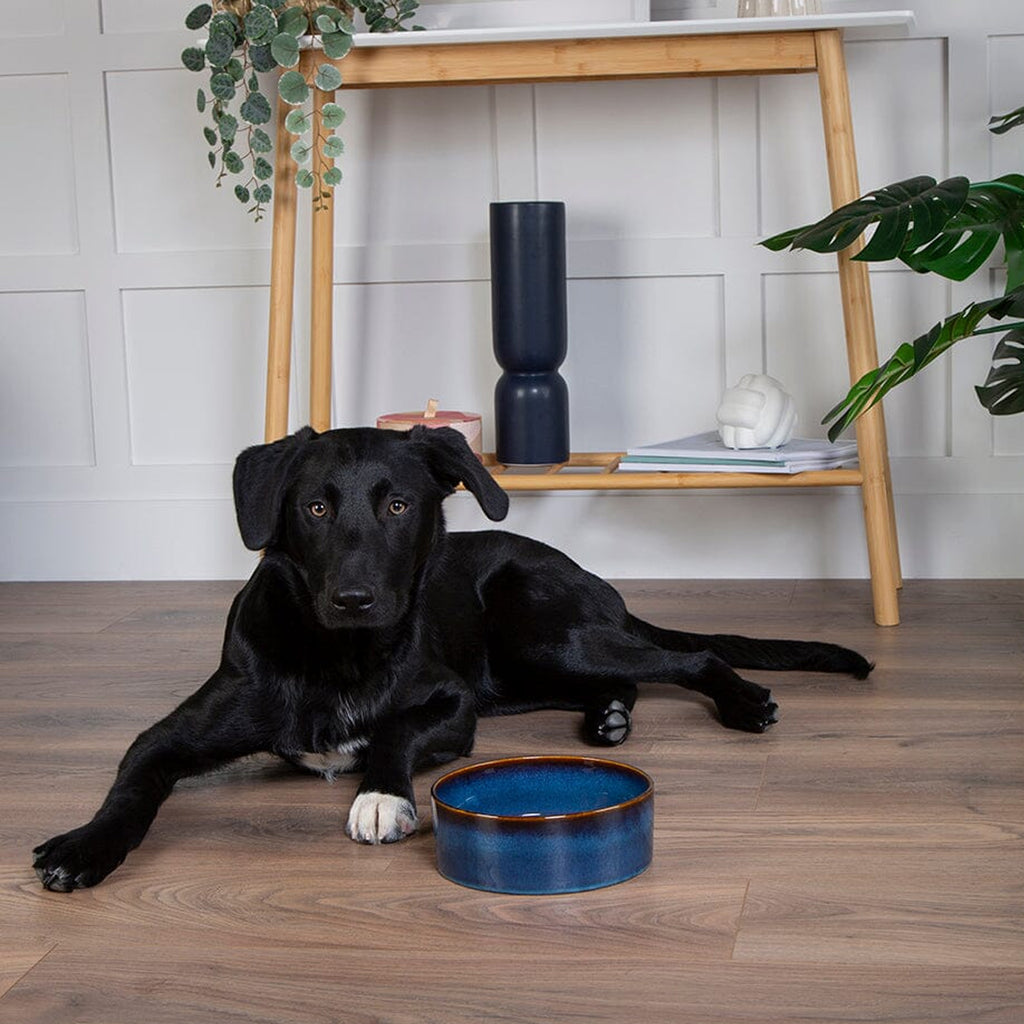 Scruffs Reactive Glaze Food Bowl - Midnight