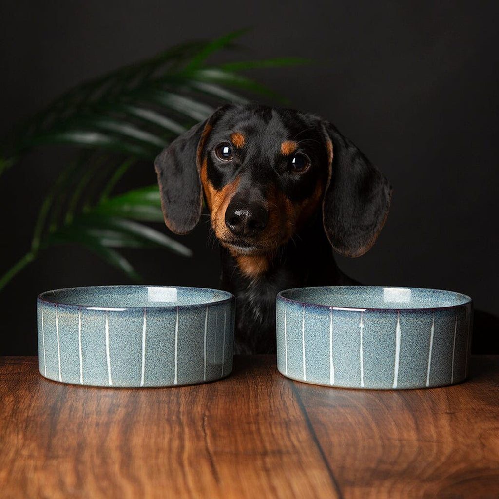 Scruffs Reactive Glaze Food Bowl - Pinstripe