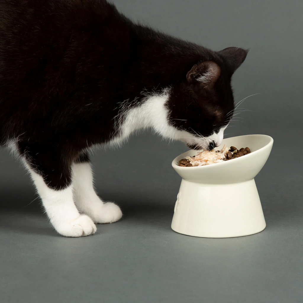 Scruffs Icon Raised Cat Feeder Bowl - Cream