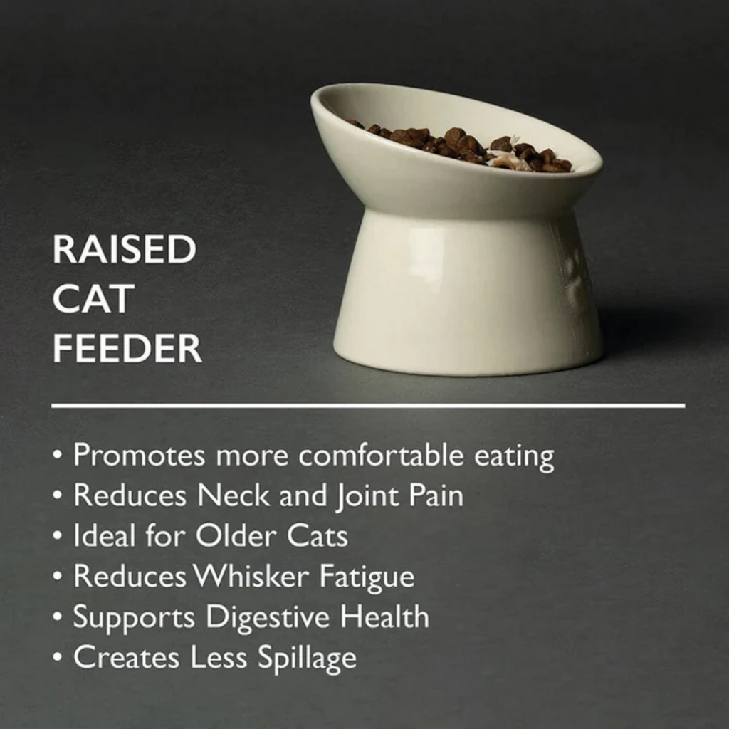 Scruffs Icon Raised Cat Feeder Bowl - Cream