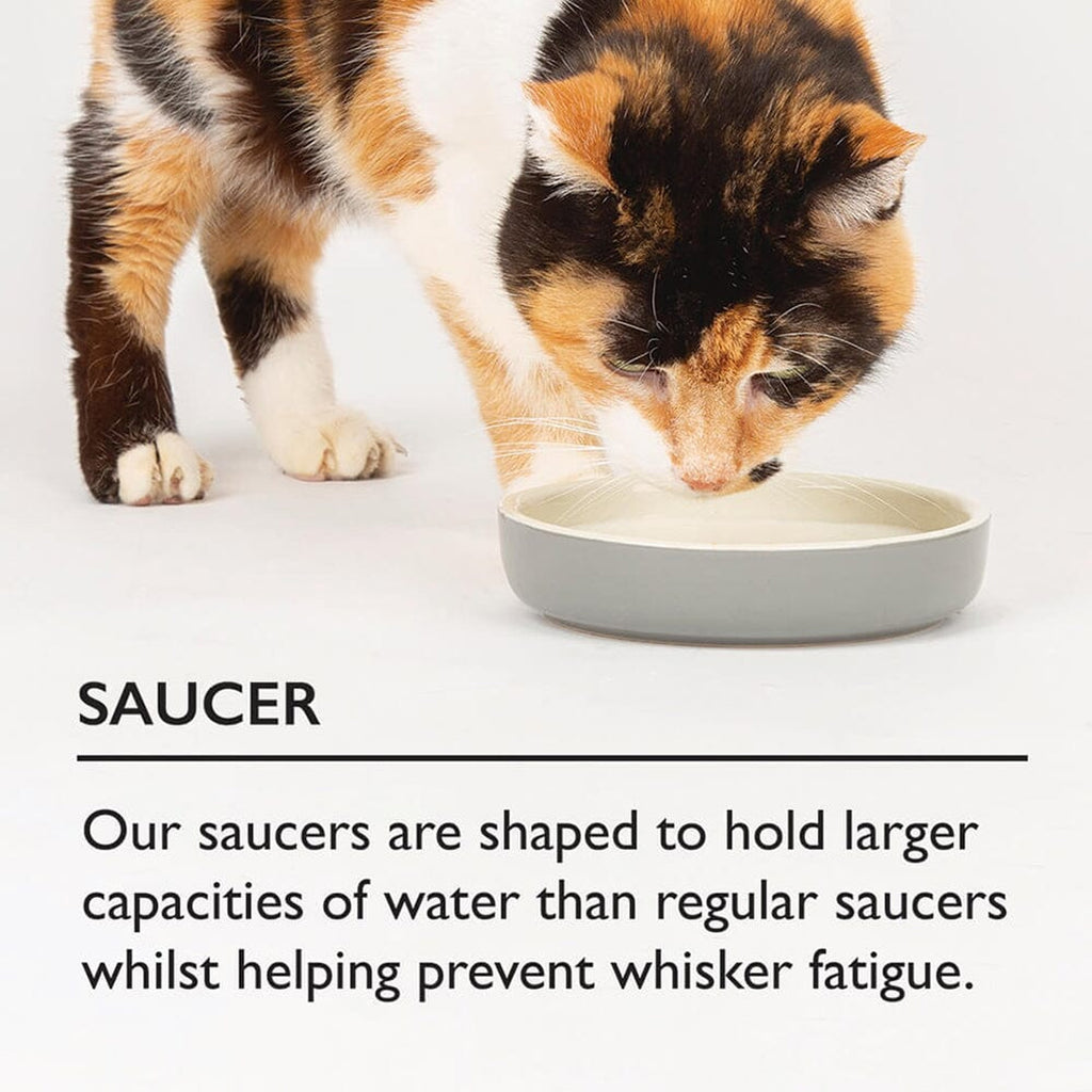 Scruffs Reactive Glaze Pet Saucer - Midnight