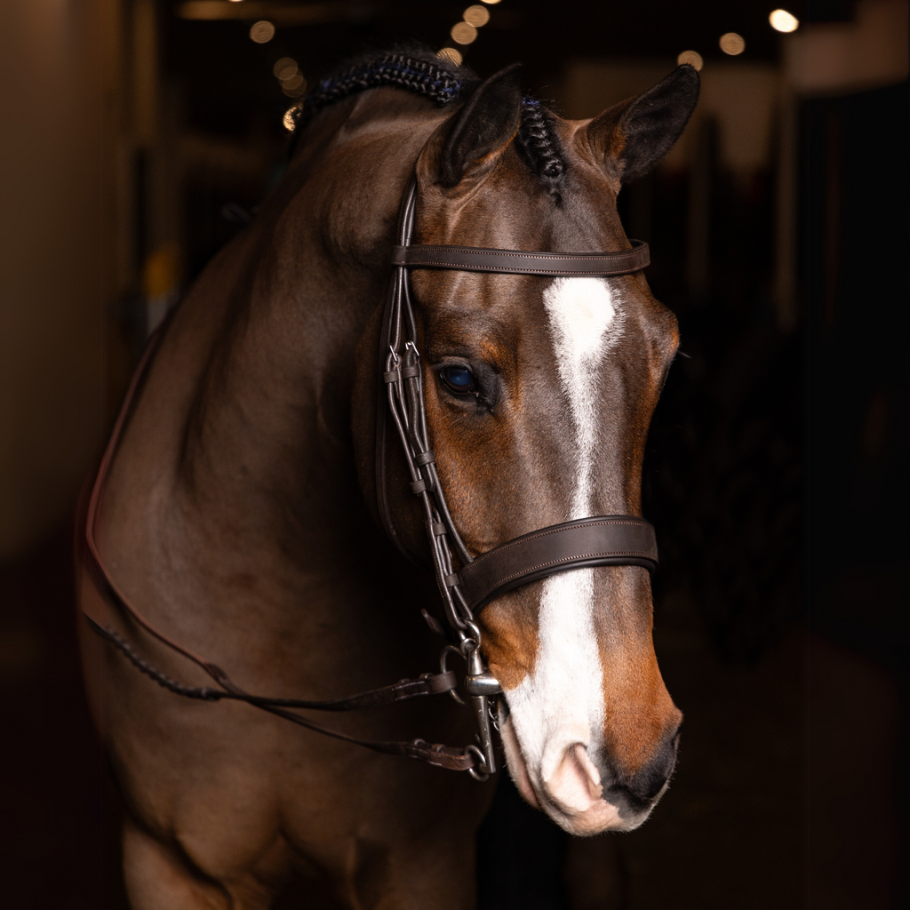 LeMieux Flat Hunter Bridle with Laced Reins - Havana/Silver