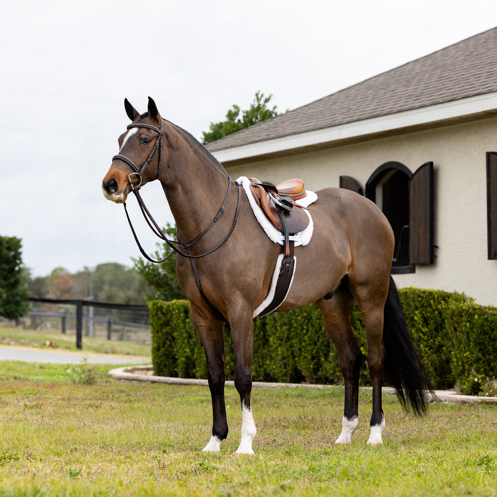 LeMieux Merino+ Hunter Saddle Pad - White