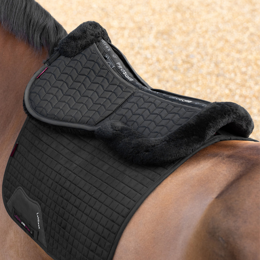 LeMieux Merino+ ProSorb 2 Pocket Half Pad - Black/Black