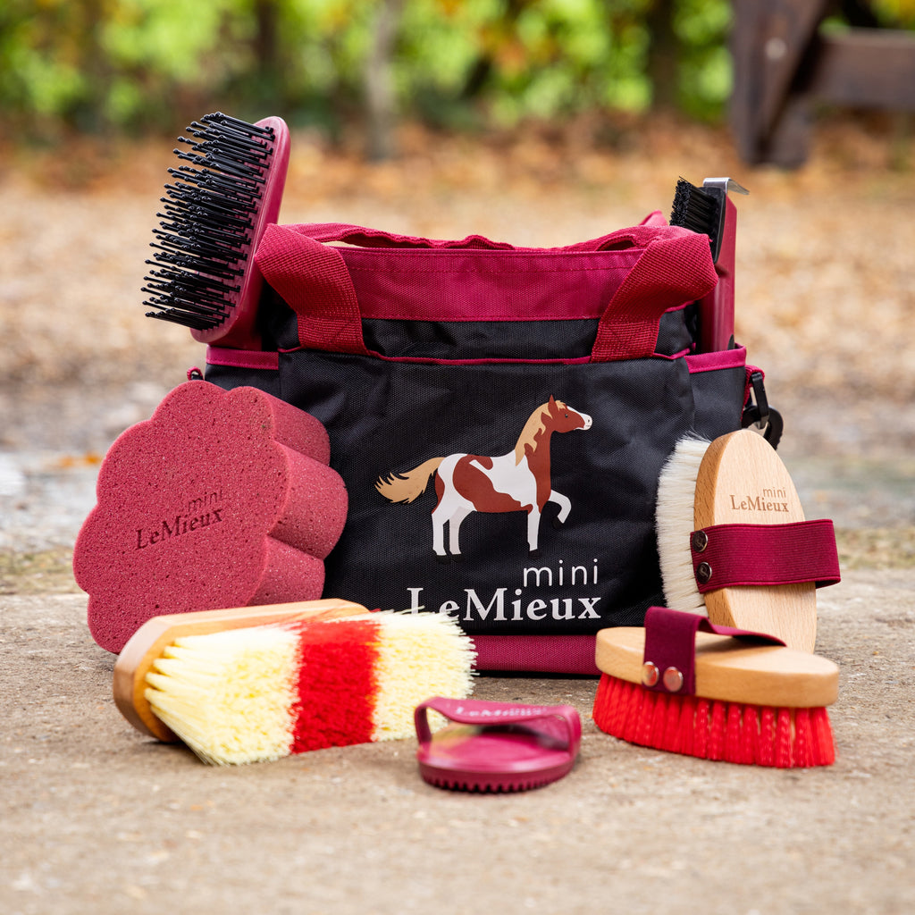 LeMieux Mini Grooming Set - Red