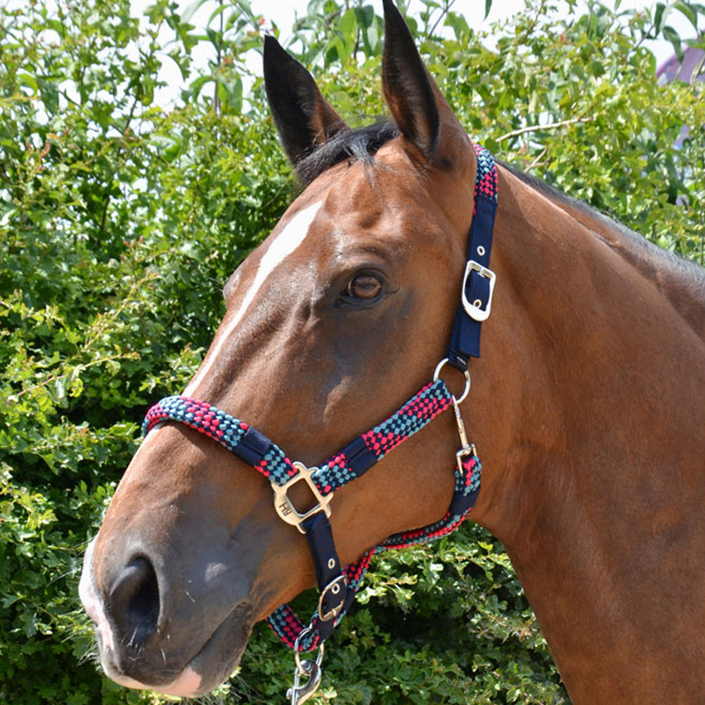 Hy Multicolour Adjustable Head Collar With Rope - Navy/Raspberry/Sea Blue